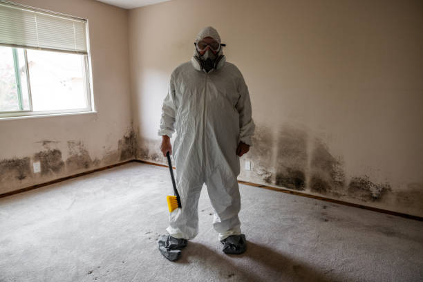 Best Mold Cleaning Services  in Morgantown, PA